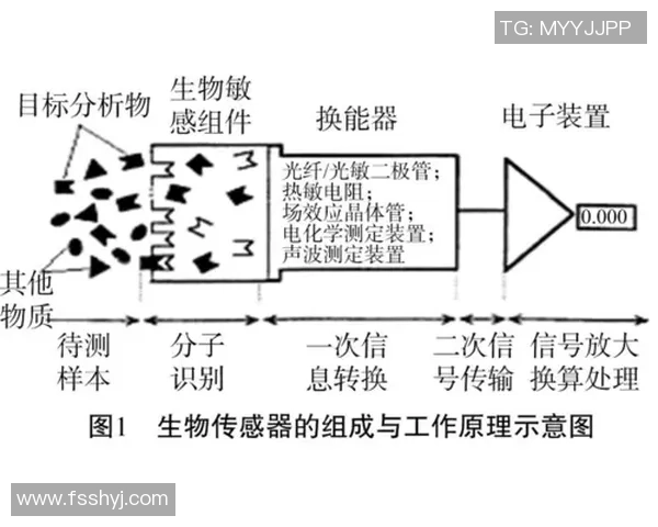 广州网球队灵活性分析及其对比赛表现的影响探讨 广州网球队灵活性分析及其对比赛表现的影响探讨