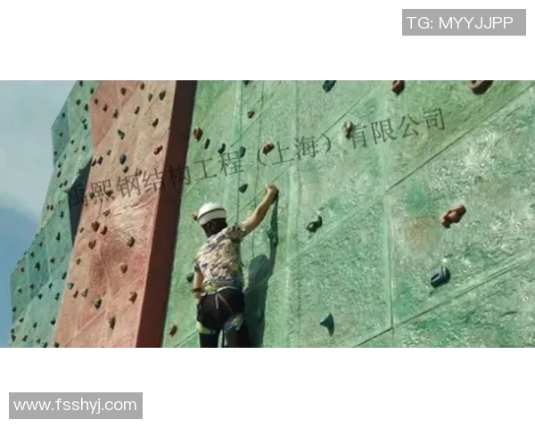 深圳攀岩队区域防守体系的战术解析与实战应用探讨